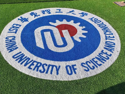 Césped artificial con logotipo universitario